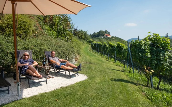 Dworschak wine tasting with family-crafted wines embraced by the vineyards galéria kép