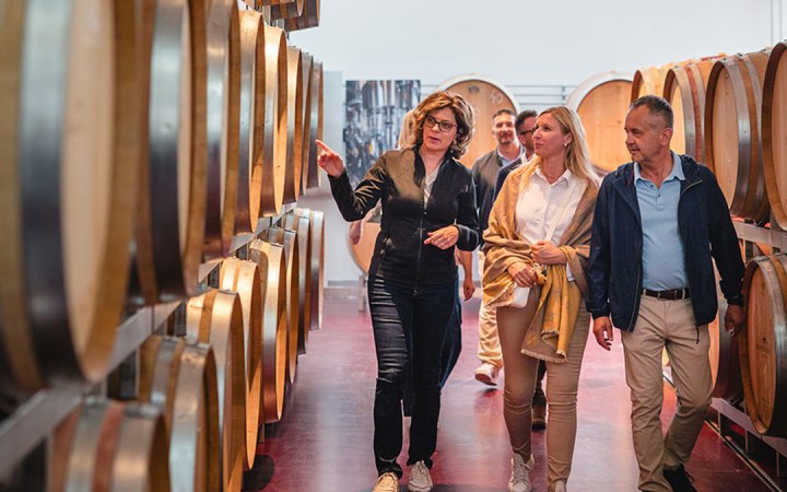 Esterházy wine tasting at a historic estate
