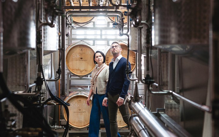 Esterházy wine tasting at a historic estate