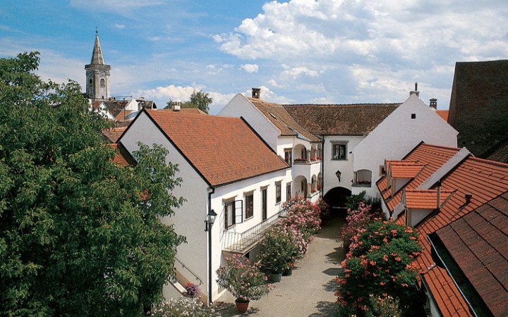 Feiler-Artinger wine tasting with biodynamic wines galéria kép