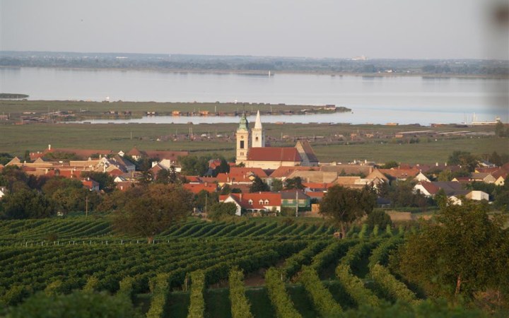 Landauer wine tasting in one of Rust’s oldest cellars