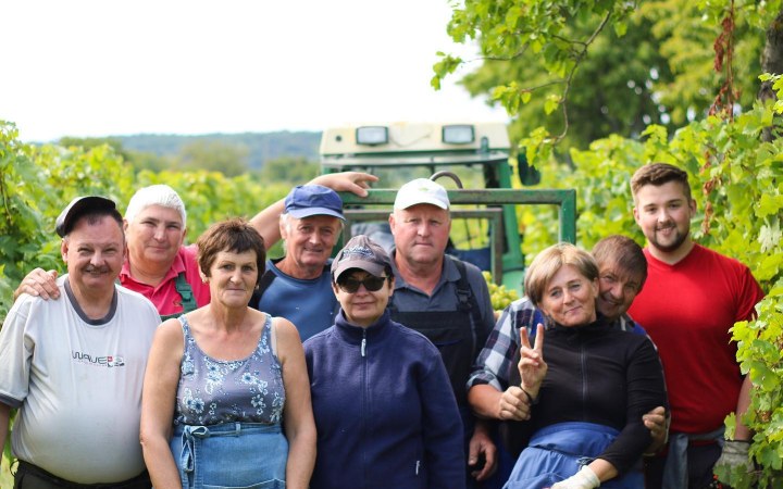 Liegenfeld wine tasting highlighting premium white wines