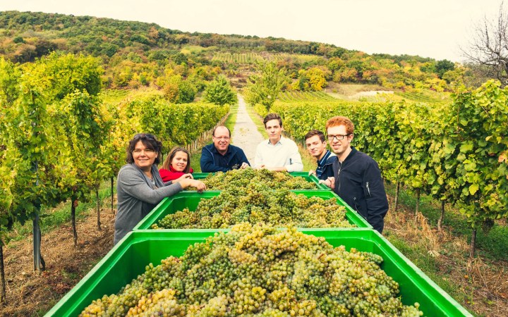 Liegenfeld wine tasting highlighting premium white wines