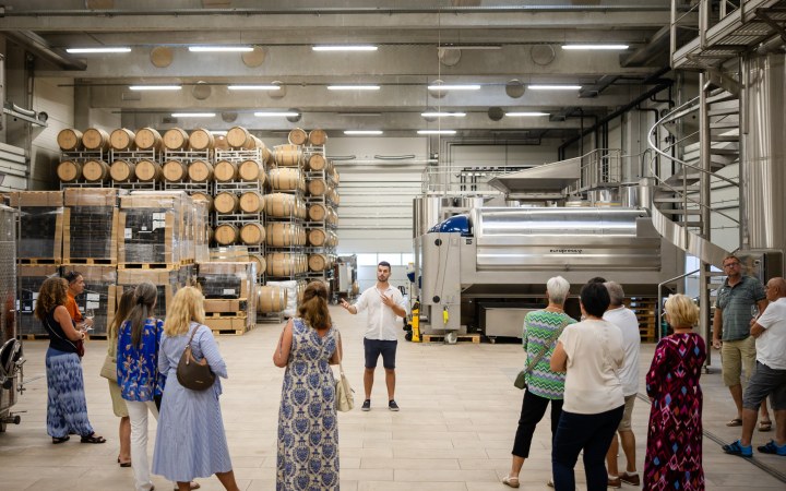 Salzl borkóstoló a Seewinkel Nemzeti Park szívéből származó 3 generációs szenvedéllyel készített borokkal galéria kép