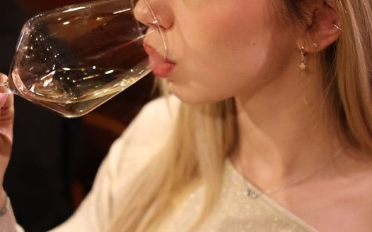 Wine to Bar borkóstoló A Prosecco 6 arca bor és koktélkóstoló est a Stex Ház privát termében galéria kép