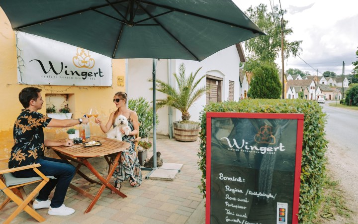Wingert wine tasting on the historic cellar row galéria kép