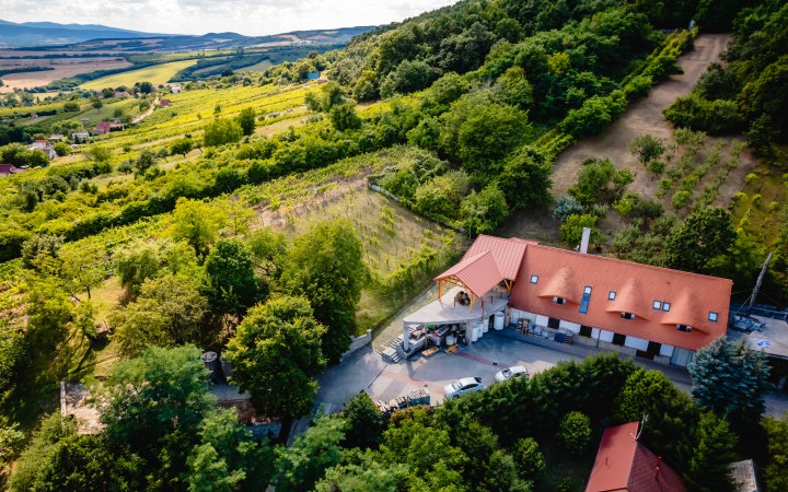 Zsigmond wine tasting with a 5 wines and vineyard tour