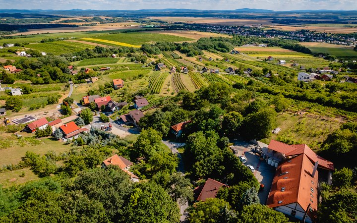 Zsigmond wine tasting with a 5 wines and vineyard tour