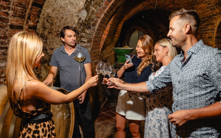 Zsigmond wine tasting with a 5 wines and vineyard tour