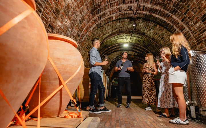 Zsigmond wine tasting with wine dinner and homemade specialties