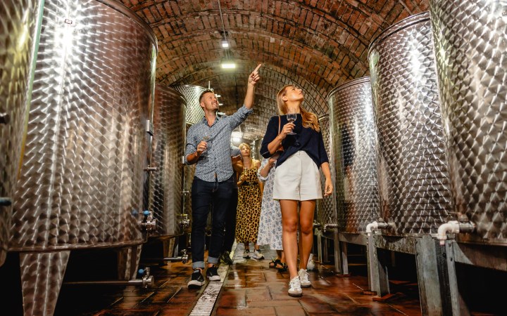 Zsigmond wine tasting with wine dinner and homemade specialties