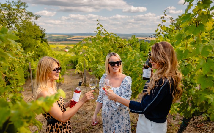 Zsigmond wine tasting with wine dinner and homemade specialties