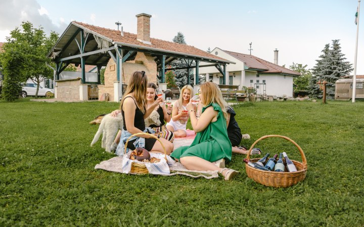 Lányok piknikeznek és boroznak a nyári jó időben