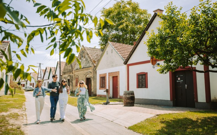 Hajósi pincefalu