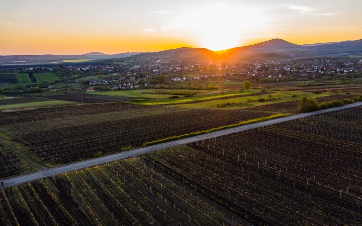 Mátra hegyvonulata előtte szőlőültetvényekkel