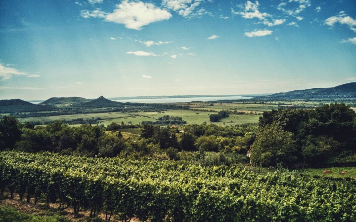 Badacsony és a Balaton látképe