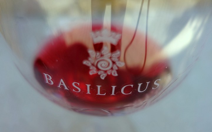 A tarcali Basilicus Szőlőbirtok elkötelezett a régi fajta vissza telepítésében