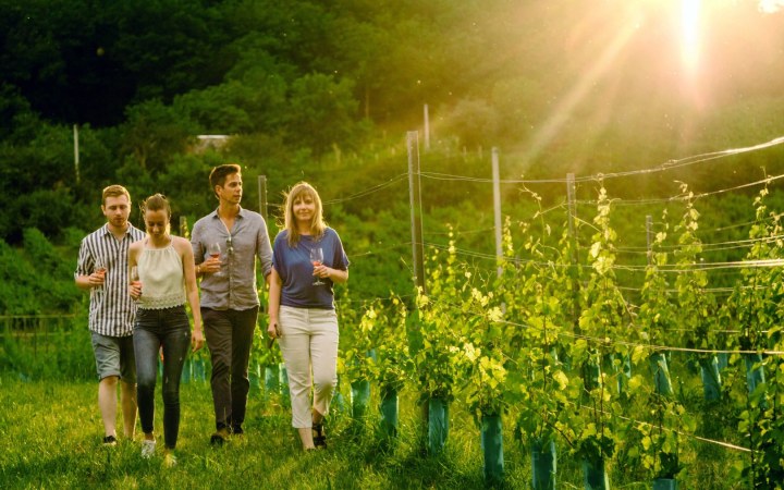Szekszárdi bikavér és cabernet sauvignon az aranyérmes borok kóstolóján