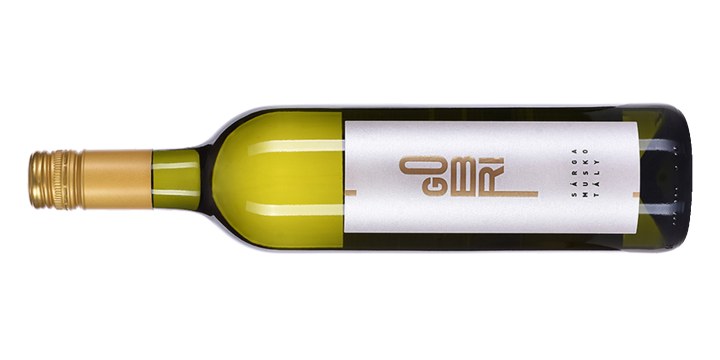 Késői sárgamuskotály 2017