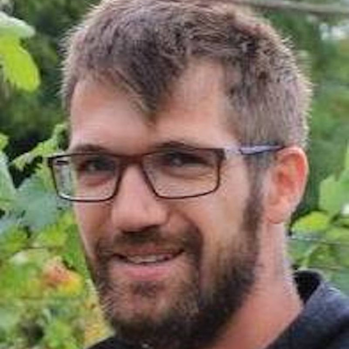Strommer Domonkos